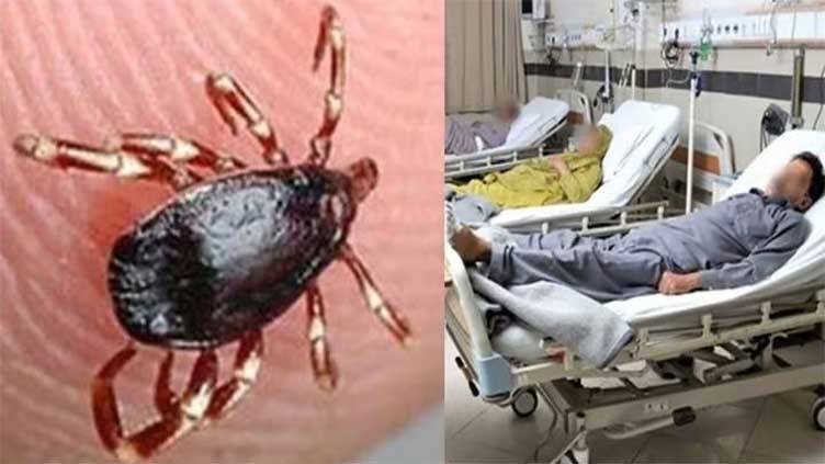 Congo virus claims 2 lives in Karachi