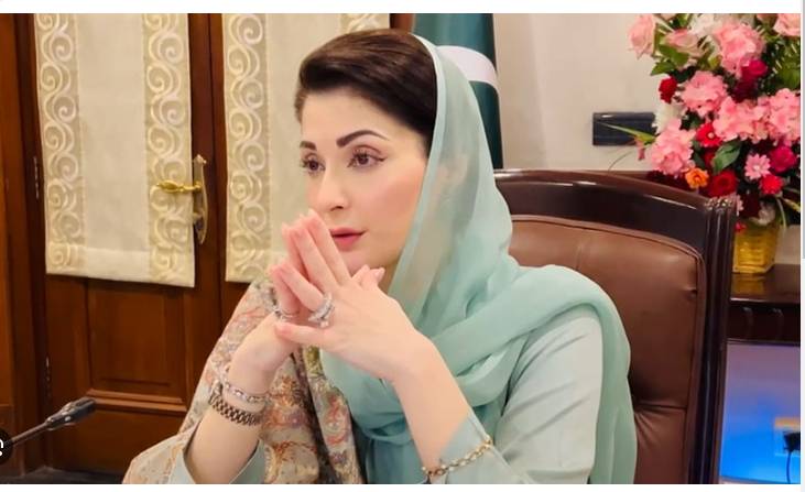 CM Maryam to distribute cattle worth Rs2b among widows in South Punjab
