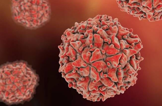 Poliovirus detected in seven more districts of country 