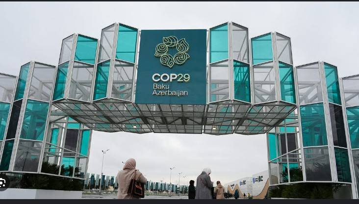 World Bank and IMF climate snub 'worrying', says COP29 presidency