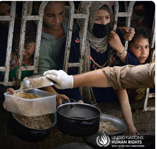 Gaza: Palestinians seeking food continue to be killed by Israeli military