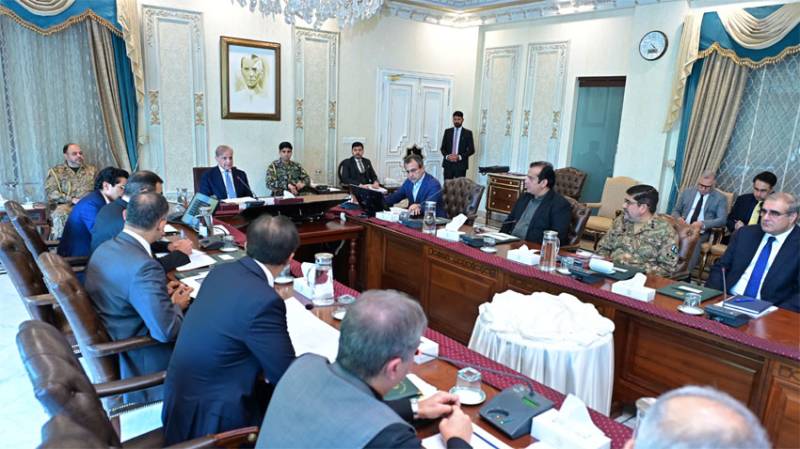 PM Shehbaz reviews privatization process of power distribution companies