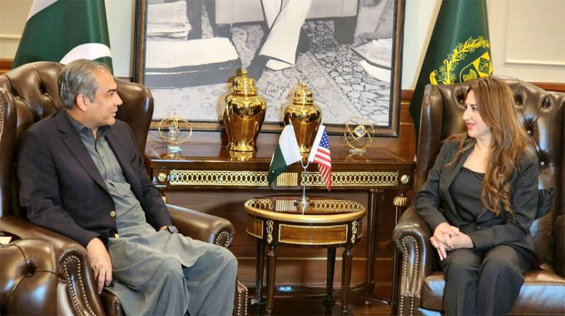 US envoy calls on Naqvi, lauds Pakistan's diplomatic efforts for peace in region 