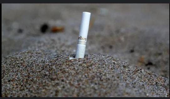 France bans smoking in beaches, in parks and bus shelters