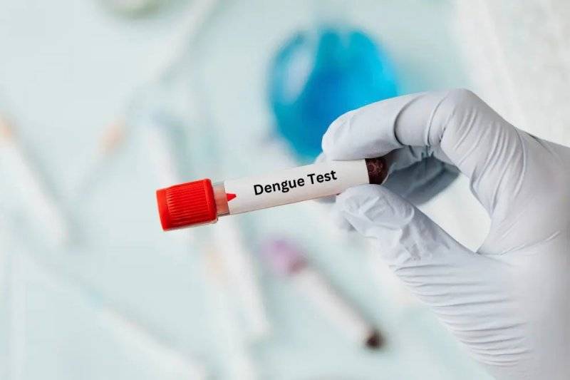 Dengue fever kills young man in Karachi; 260 infected
