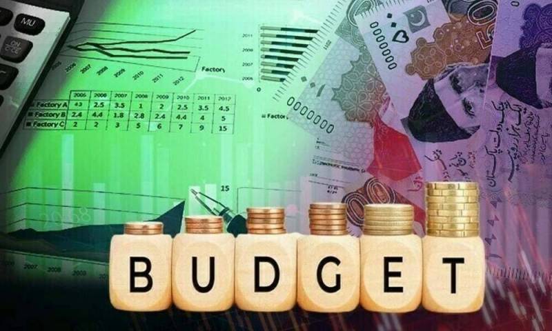 PPP's Budget Support