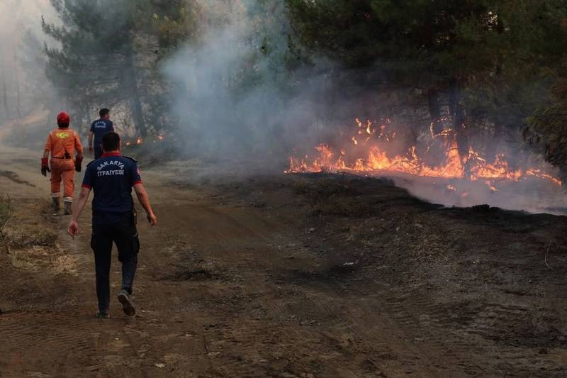 Rescuers evacuate 50,000 as Turkey battles wildfires