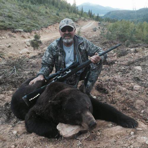 Sweden to restrict use of semi-automatic weapons for hunters