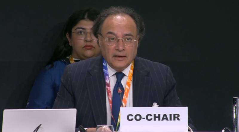 FM Aurangzeb pitches for strengthening global financial architecture