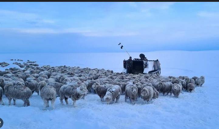 Record cold grips Argentina, Chile and Uruguay