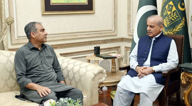 Mohsin Naqvi calls on PM Shehbaz