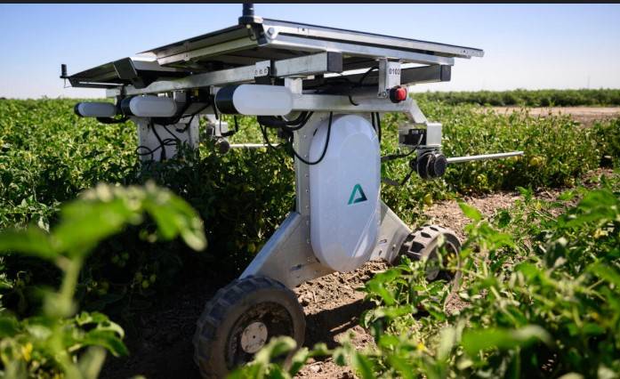 AI robots fill in for weed killers and farm hands