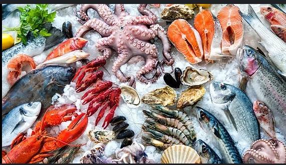 Pakistan records 20.5pc rise in seafood exports