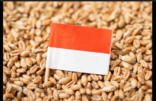 Indonesia, US to sign MoU on $1.25 billion wheat purchases