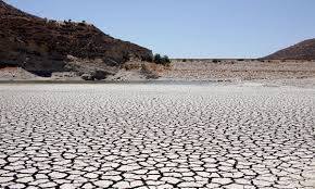 Almost half of Europe and Mediterranean basin hit by drought