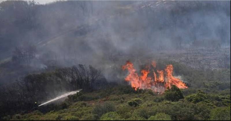 France wildfire shuts down Marseille airport