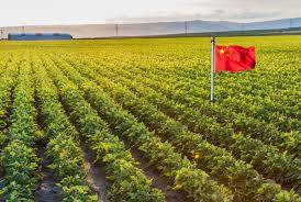 US banning Chinese investors from purchasing farmland