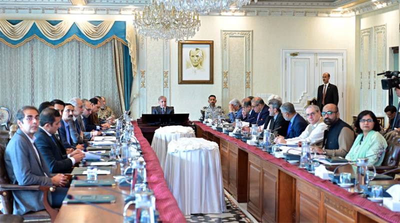 PM Shehbaz pitches for public-private partnership model to promote agri financing