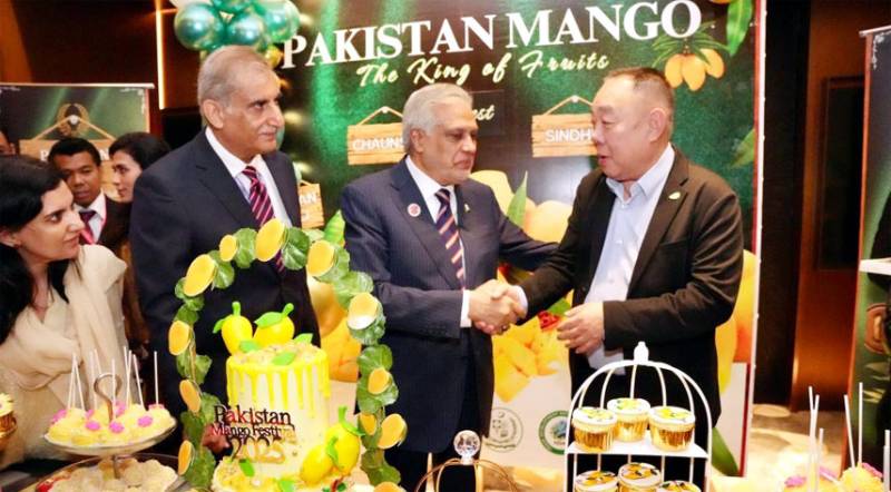 DPM inaugurates Pakistan Mango Festival in Kuala Lumpur