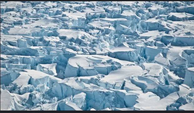 Lithuania bids to save Baltic seals as ice sheets recede