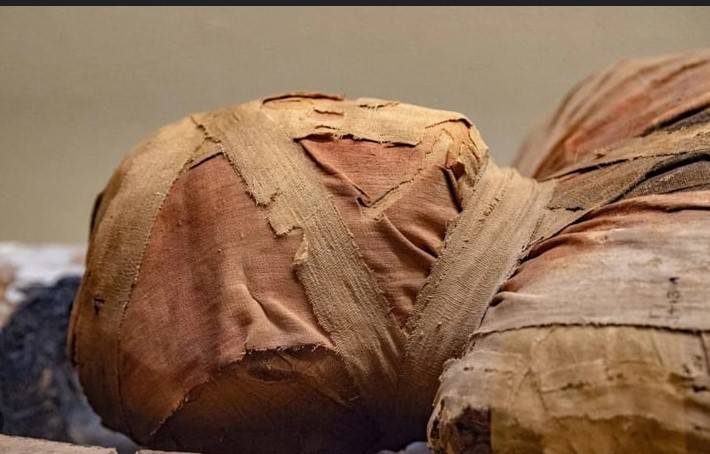 Belgium returns 2,000-year-old sarcophagus to Egypt