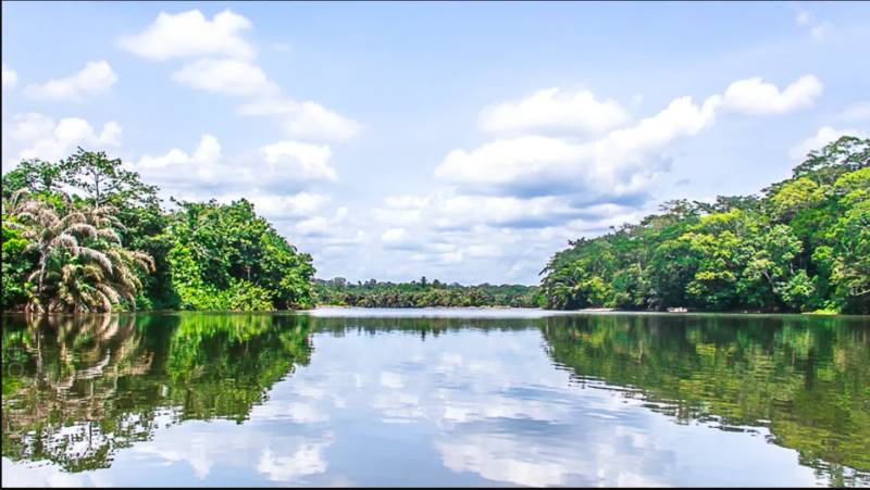 The activist who fought for Sierra Leone's first World Heritage site