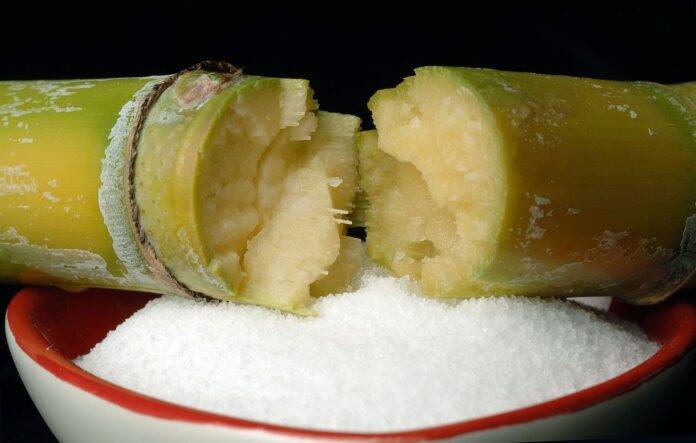 Govt slashes sugar import plan amid strategic reassessment