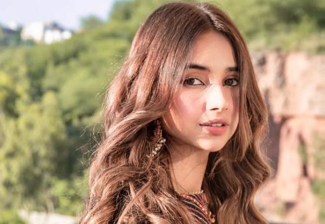Sabeena Farooq flaunts RISHTA PHOTO while not looking for the one