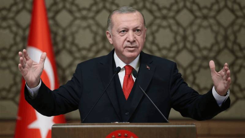 Erdogan accuses Israel of using Druze as pretext to expand into Syria 