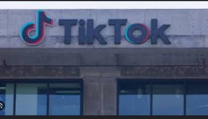TikTok hit by fresh complaint over data access
