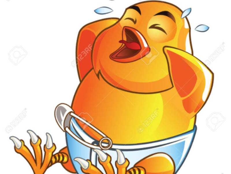 Govt starts collecting Rs10 excise duty on day-old chick 