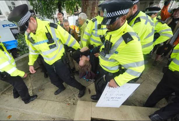 UK police arrest dozens of Palestine Action supporters