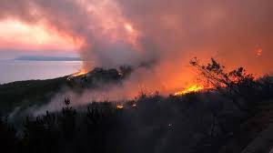Balkan nations battle forest fires amid heatwave
