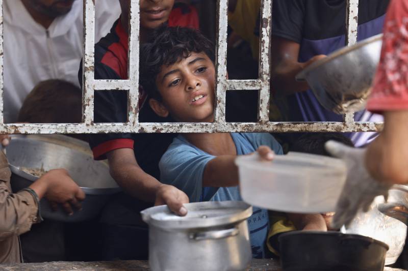 'Mass starvation' spreading across Gaza, warn 111 NGOs