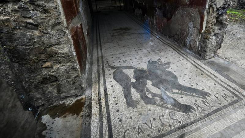 AI helps Latin scholars decipher ancient Roman texts