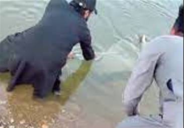Fear of arrest: Drug smuggler jumps into Mangla Dam, body recovered