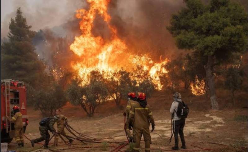 Wildfire kills at least 10 Turkish workers battling blaze