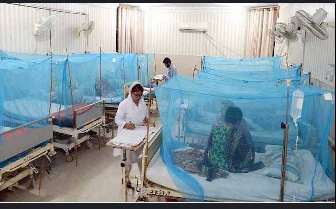 Year’s first dengue death confirmed in Karachi