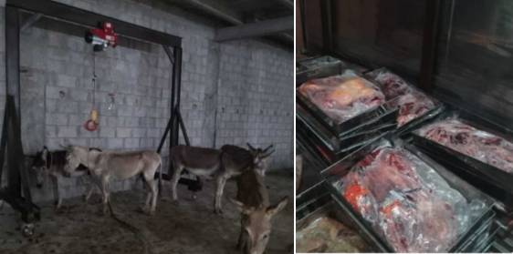 1,000 kg of donkey meat seized in Islamabad, Chinese citizen arrested 