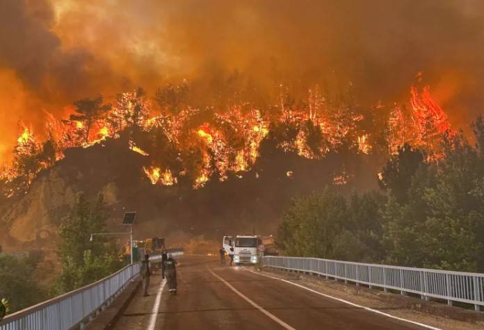 Turkey battles wildfires amid strong winds, heatwave