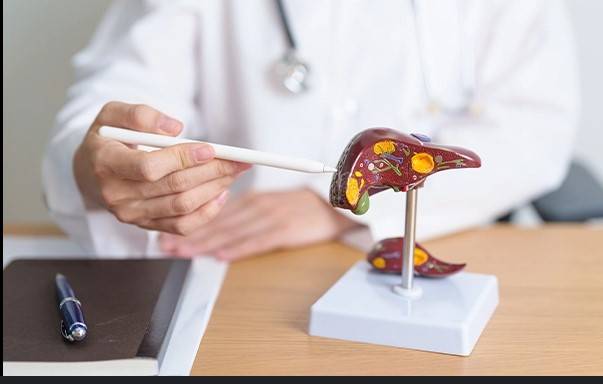 Liver cancer to double worldwide, most of it preventable: study