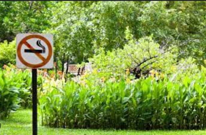 Punjab govt declares all parks as ‘no smoking zones’