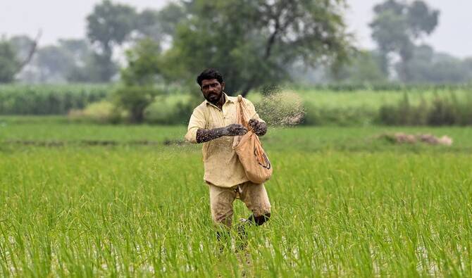 China shows interest in agricultural investment, collaboration with Pakistan