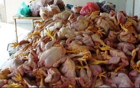 100 maunds of dead chicken meat seized in Depalpur