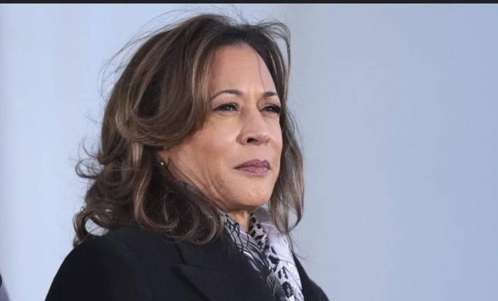 Kamala Harris to detail 2024 presidential run in new book