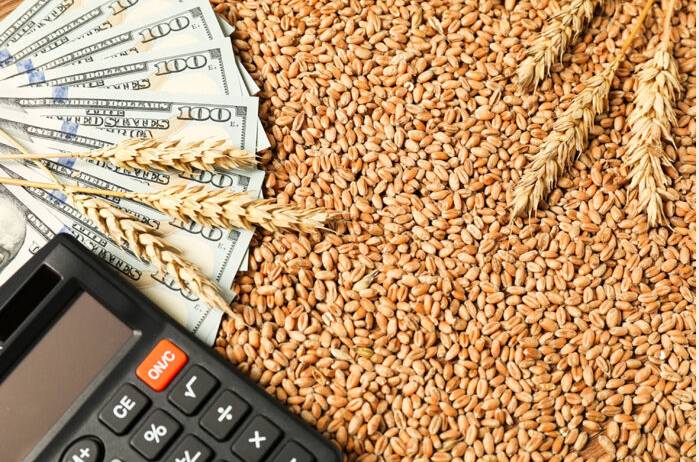 Audit report exposes Rs 6.13b wheat import scam in Khyber Pakhtunkhwa 
