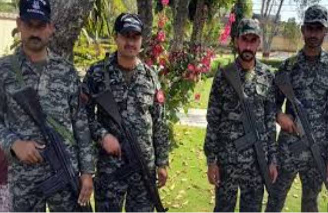 Committee formed to introduce same service structure in civil armed forces