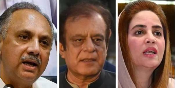 9 lawmakers including Omar Ayub, Shibli Faraz disqualified by ECP