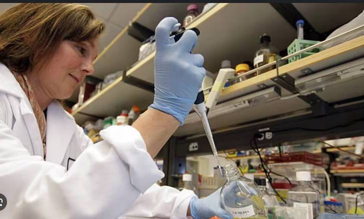 Japan firm seeks approval for stem cell treatment for Parkinson's