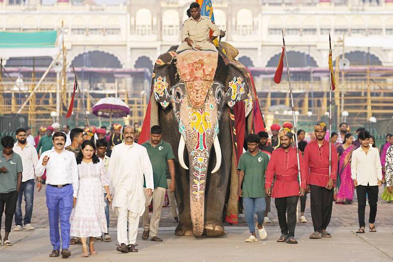 Jumbo journey as Indian elephant set to return home